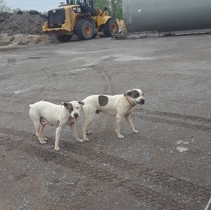 Meet your Posher, Karli